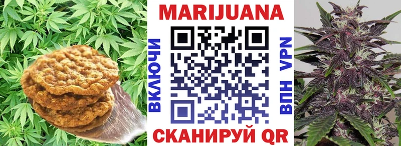 MEGA ссылки Шуя Печенье с ТГК марихуана закладки