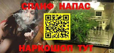 мдпв Пенза