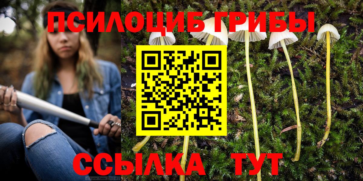Псилоцибиновые грибы мухоморы  Псилоцибиновые грибы мицелий  Вход с VPN  Шуя 